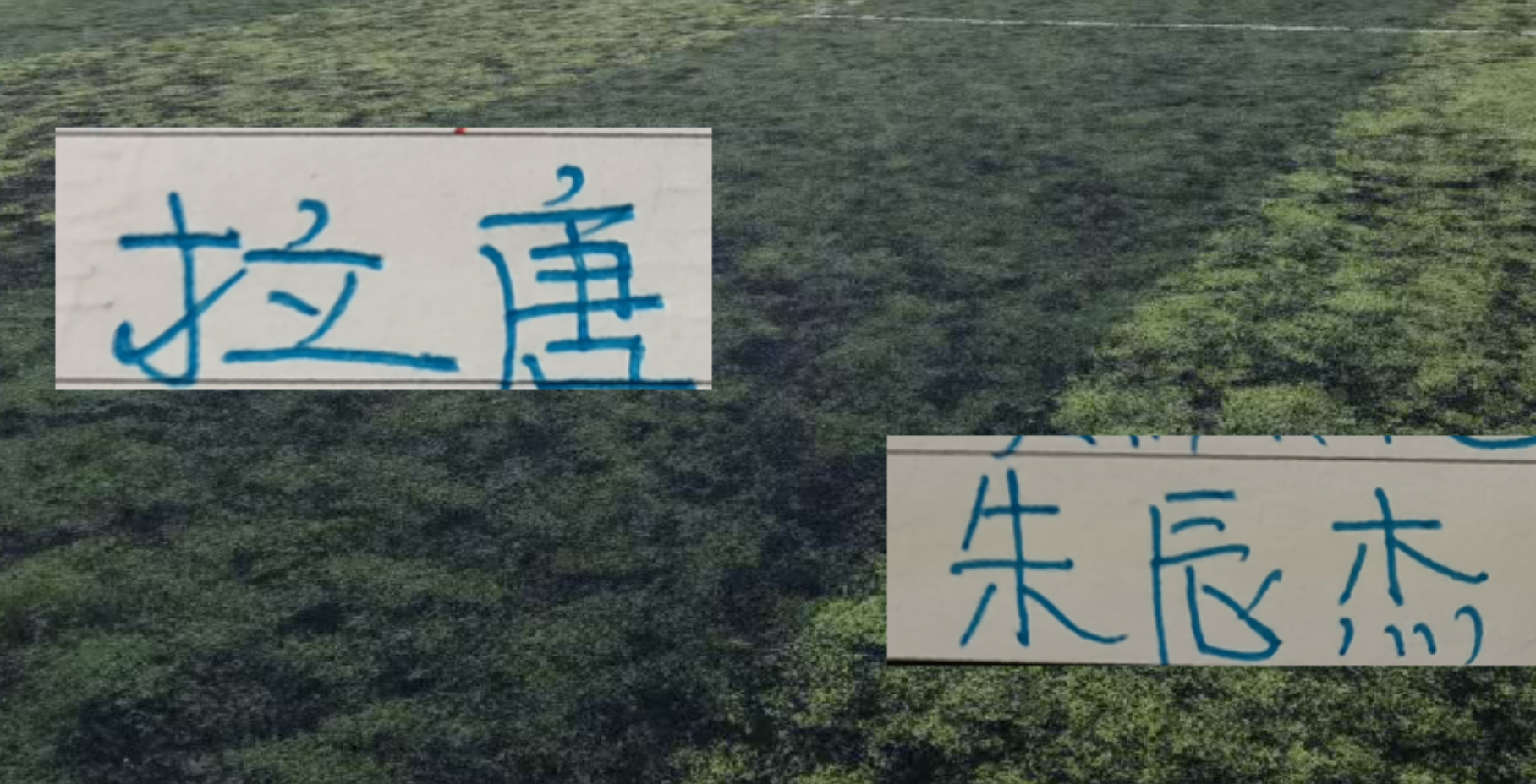 追梦：文班不是总决赛前二球员 但下赛季他会被媒体评为联盟头牌